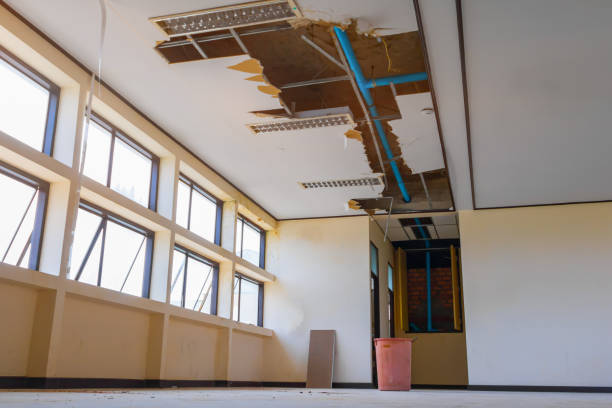 Best Water damage cleanup near me  in Dale, IN