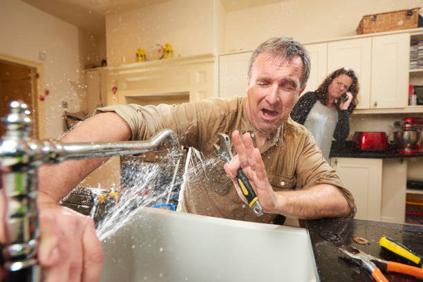 Best Water damage restoration near me  in Dale, IN
